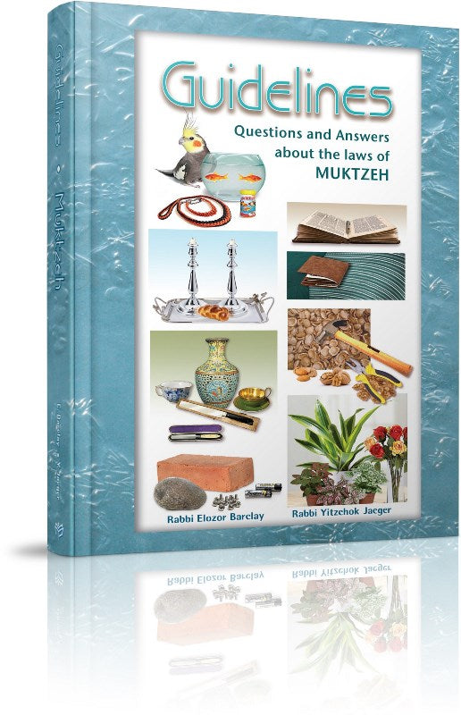 Front cover of Guidelines Muktzeh