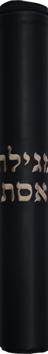 Prestige Classic Leather Megillah Tube (MT100B-NV3)