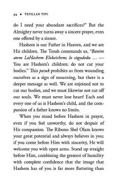 Tefillah Tips by Rabbi Yehoshua Kurland — Judaica Press (image 7)