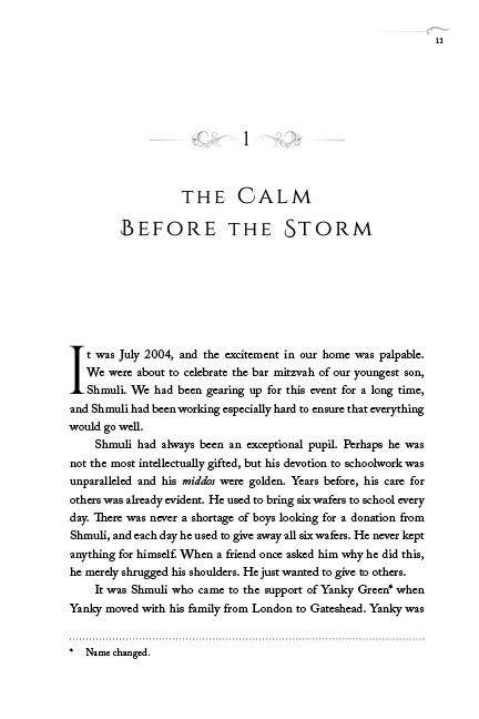 The Boy Who Never Gave Up by Moshe Hillel Shepherd — Judaica Press (image 8)