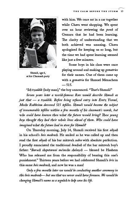 The Boy Who Never Gave Up by Moshe Hillel Shepherd — Judaica Press (image 10)
