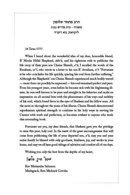 The Boy Who Never Gave Up by Moshe Hillel Shepherd — Judaica Press (image 2)