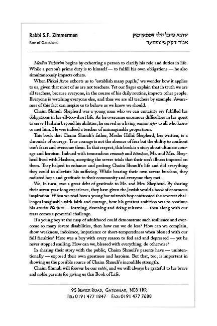 The Boy Who Never Gave Up by Moshe Hillel Shepherd — Judaica Press (image 3)