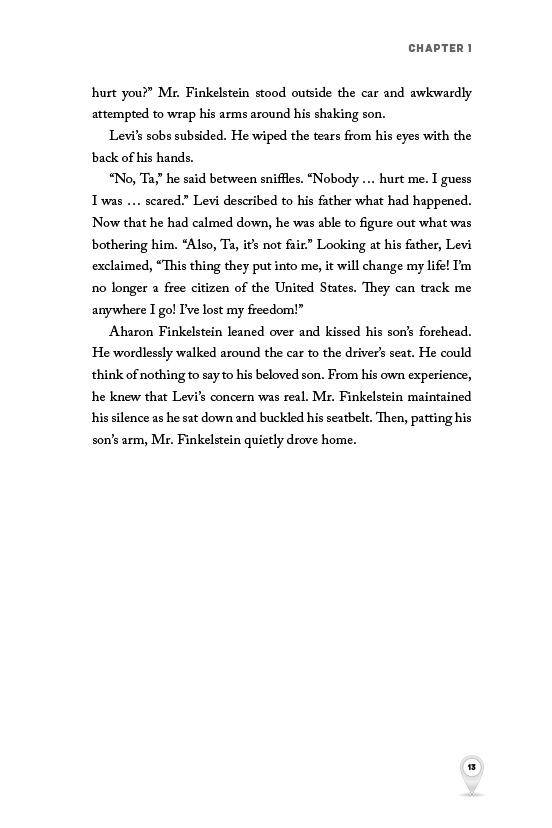 The Chip by Yechezkel Yudkowsky — Judaica Press (image 8)