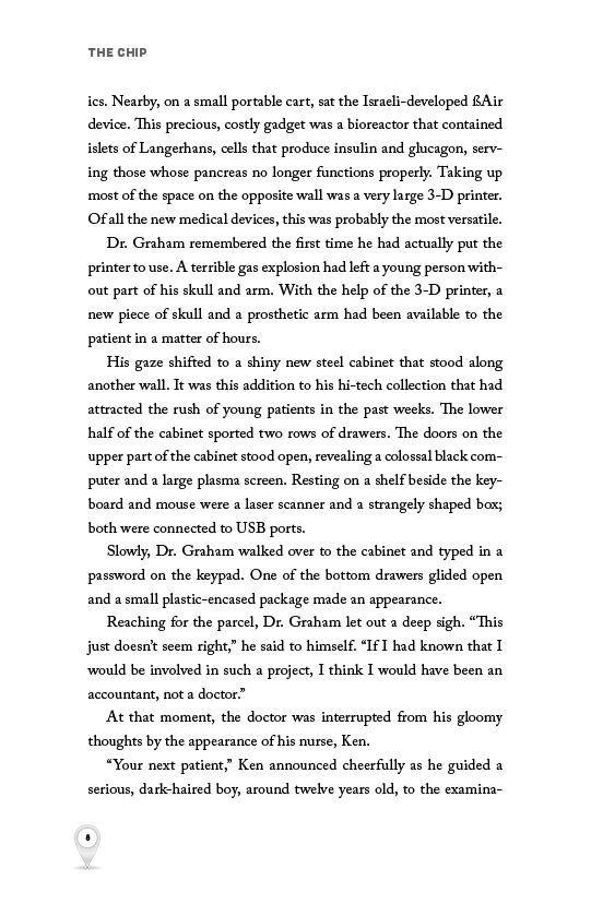 The Chip by Yechezkel Yudkowsky — Judaica Press (image 3)