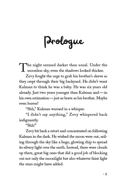 Too Many Secrets by Libby Lazewnik — Judaica Press (image 2)