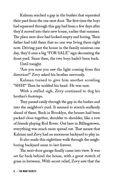 Too Many Secrets by Libby Lazewnik — Judaica Press (image 3)