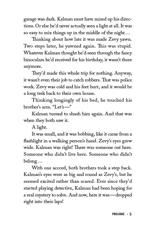 Too Many Secrets by Libby Lazewnik — Judaica Press (image 4)