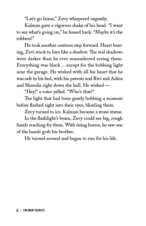 Too Many Secrets by Libby Lazewnik — Judaica Press (image 5)