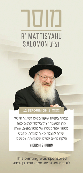 Rav Mattisyahu Salomon Yiddish mussar vaadim USB — 12 seforim | Judaica Square Lakewood