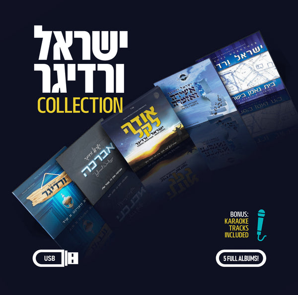 The Yisroel Werdyger Collection (USB)