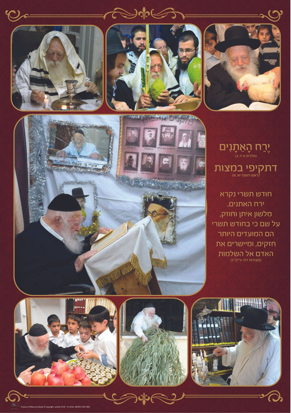 Laminated Poster R' Chaim-Tishrey  -18"x24" (P1958)