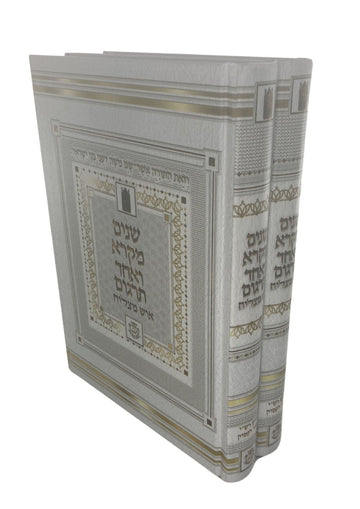 Shnayim Mikra V'Echad Targum with Rashi, Ish Matzliach, 2 Volumes, angled view