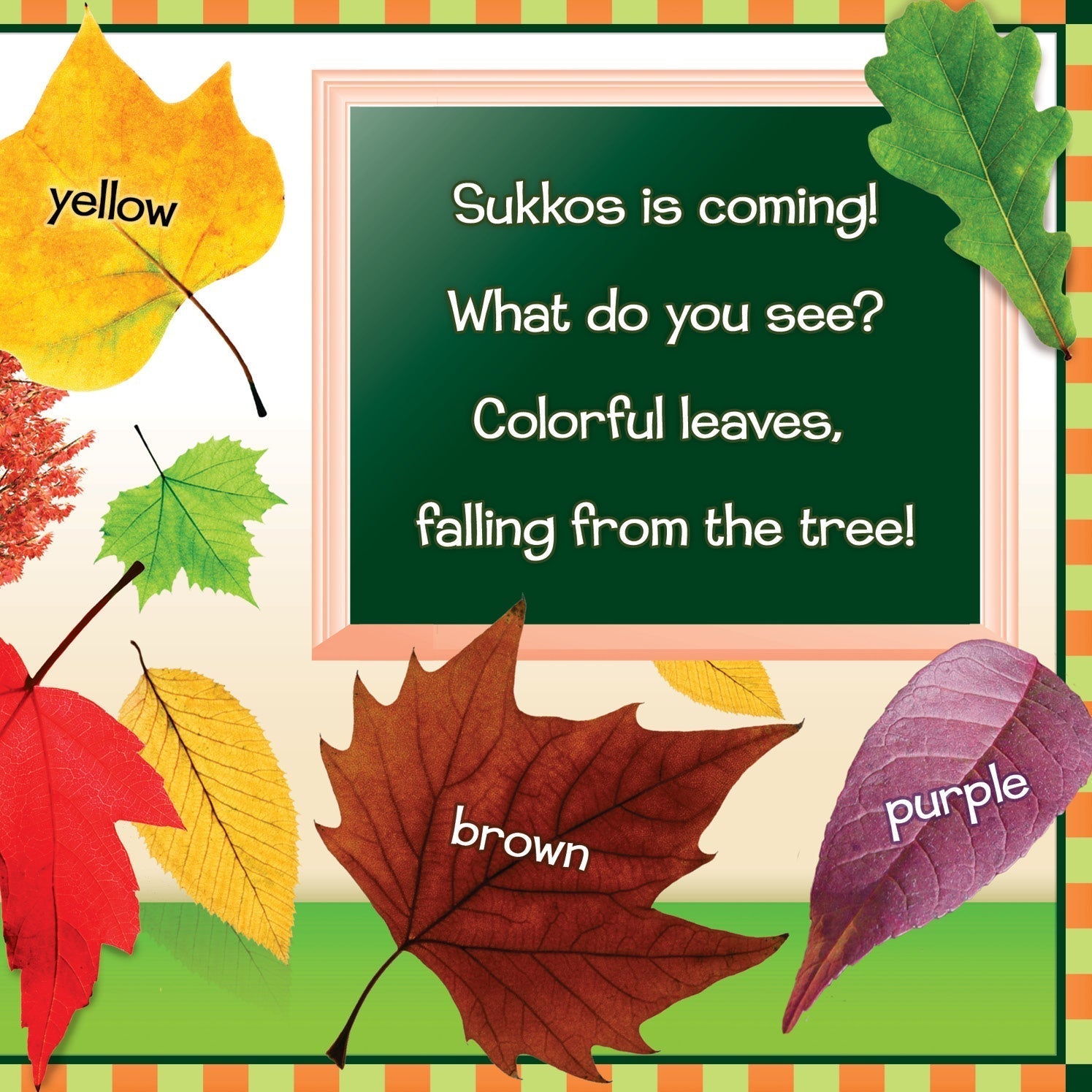 What Do You See on Sukkos? by Bracha Goetz — Judaica Press (image 7)