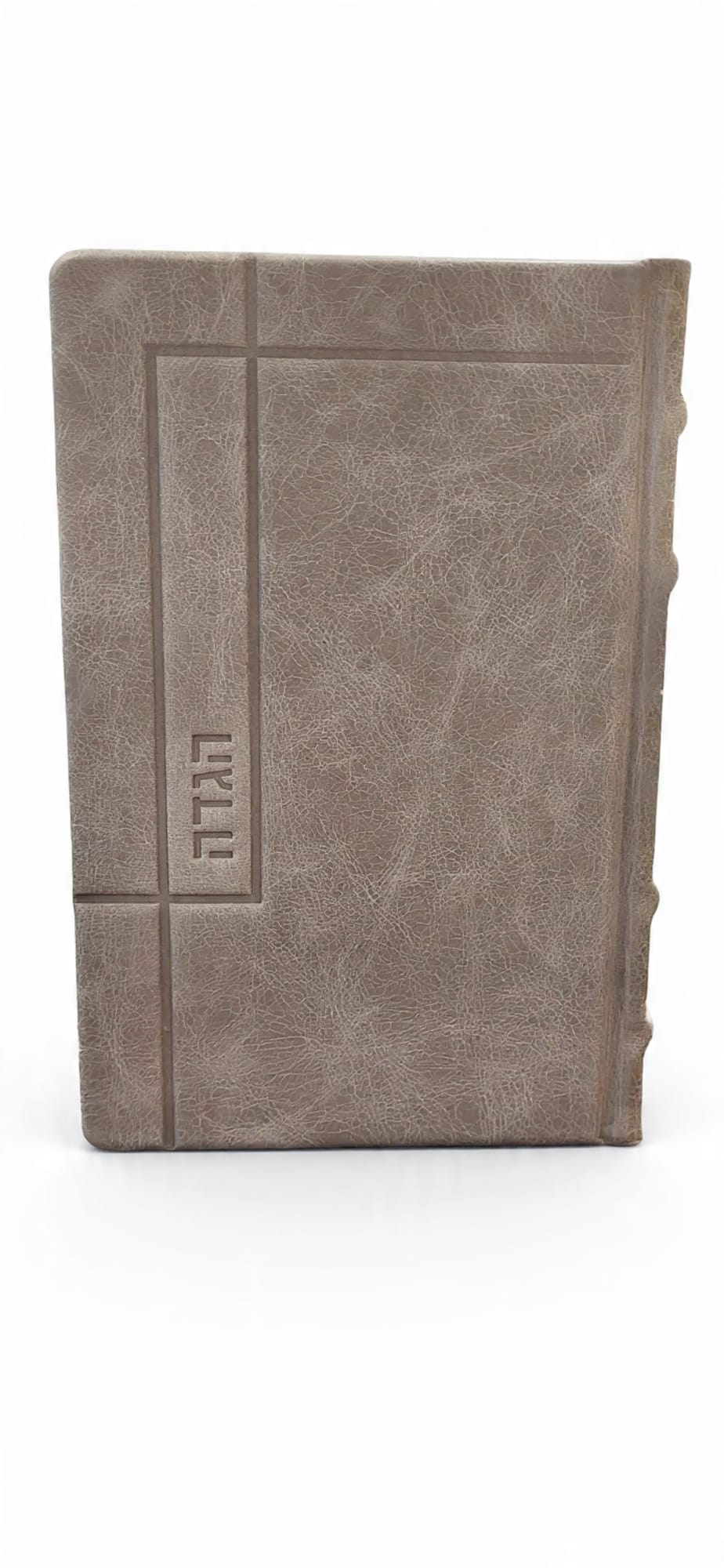 Antique Taupe Haggadah Kaftor for Kallah #1567 - Image 2