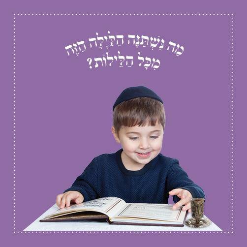 Yosef and Yael and the Ma Nishtana by Shulamis Krumbein — Judaica Press (image 3)