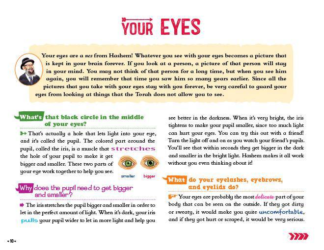 Your Walking, Talking Body by Rabbi Yeshaya Perlow — Judaica Press (image 6)