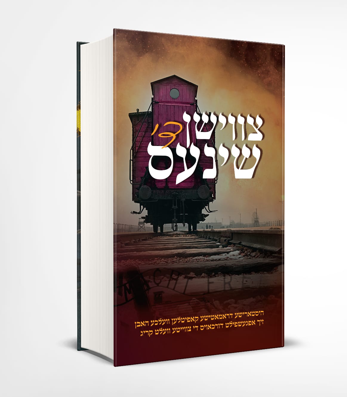 Tzvishen De Shines | Judaica Square Lakewood
