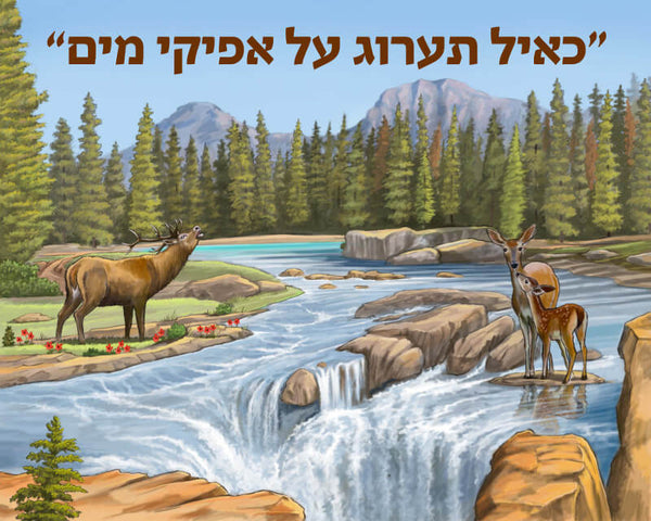 Canvas Paint By Number 20"x25" - "כאיל תערוג" — Kids Activity | Judaica Square Lakewood