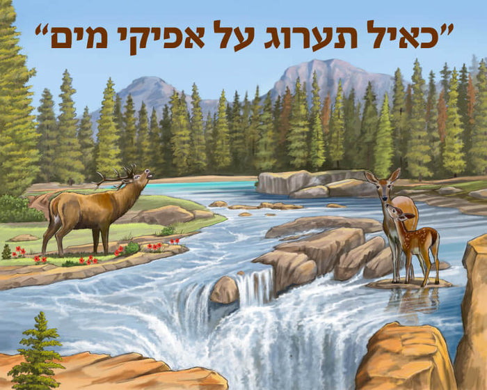 Canvas Paint By Number 20"x25" - "כאיל תערוג" — Jewish paint-by-number canvas kit | Judaica Square Lakewood