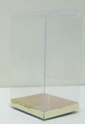 Transparent Bag with Gold base — front | Judaica Square Lakewood