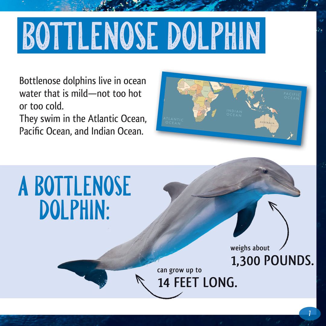 And the Winner Is...Who Hunts Deepest in the Ocean?
