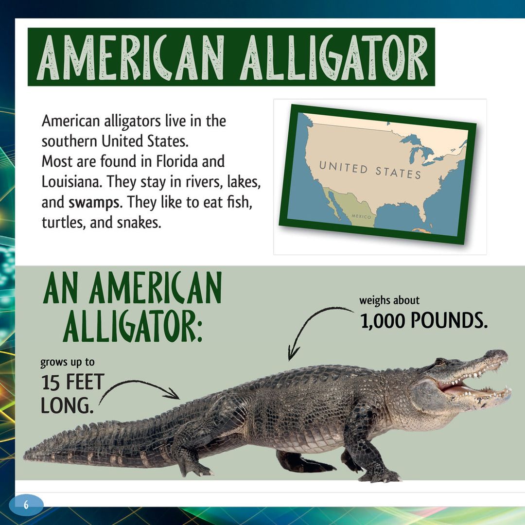 And the Winner Is...Who Is the Loudest Animal in the World
