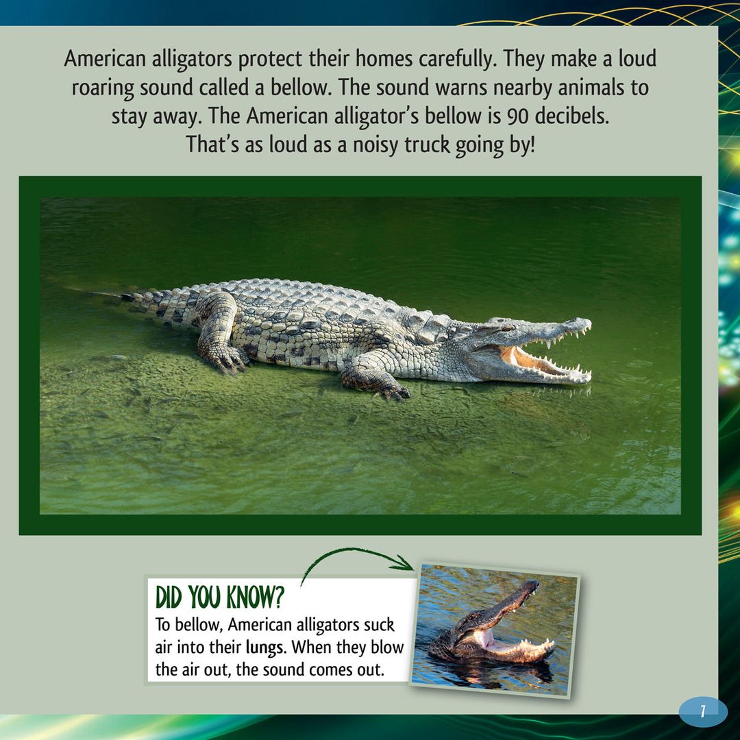 And the Winner Is...Who Is the Loudest Animal in the World