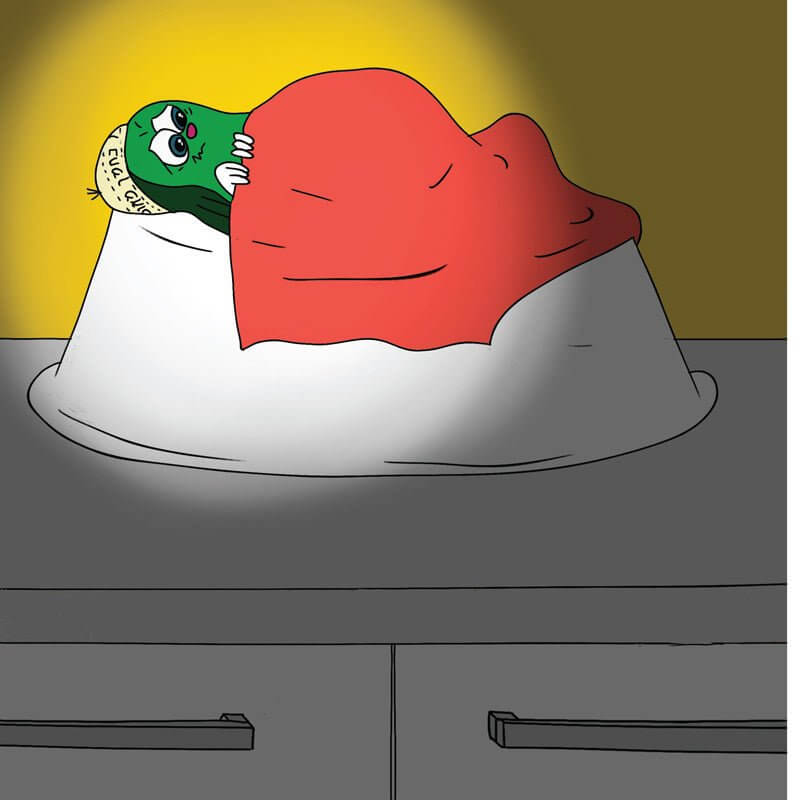 Avi Avocado