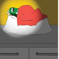 Avi Avocado