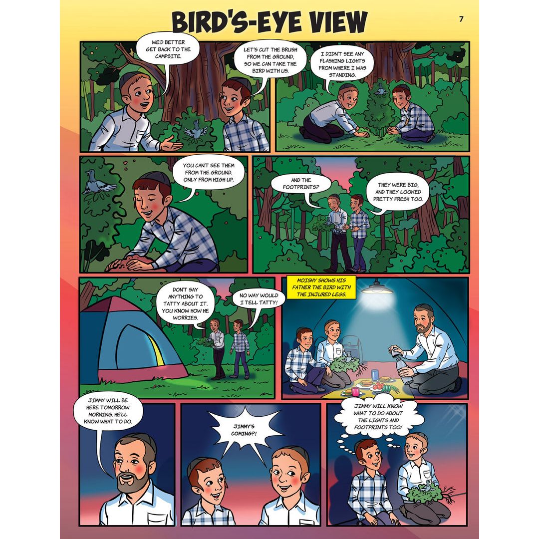Bird's-Eye View