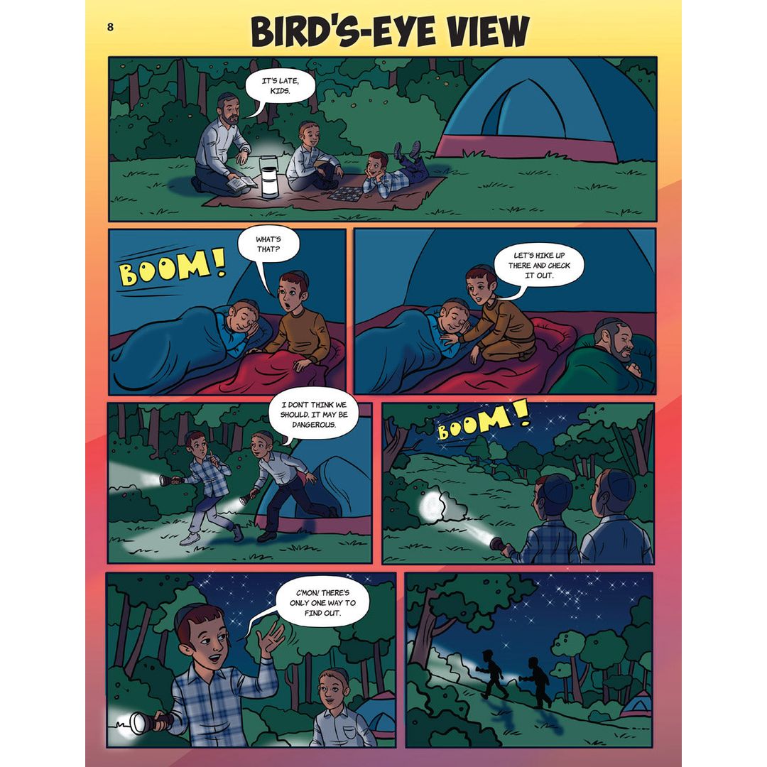 Bird's-Eye View