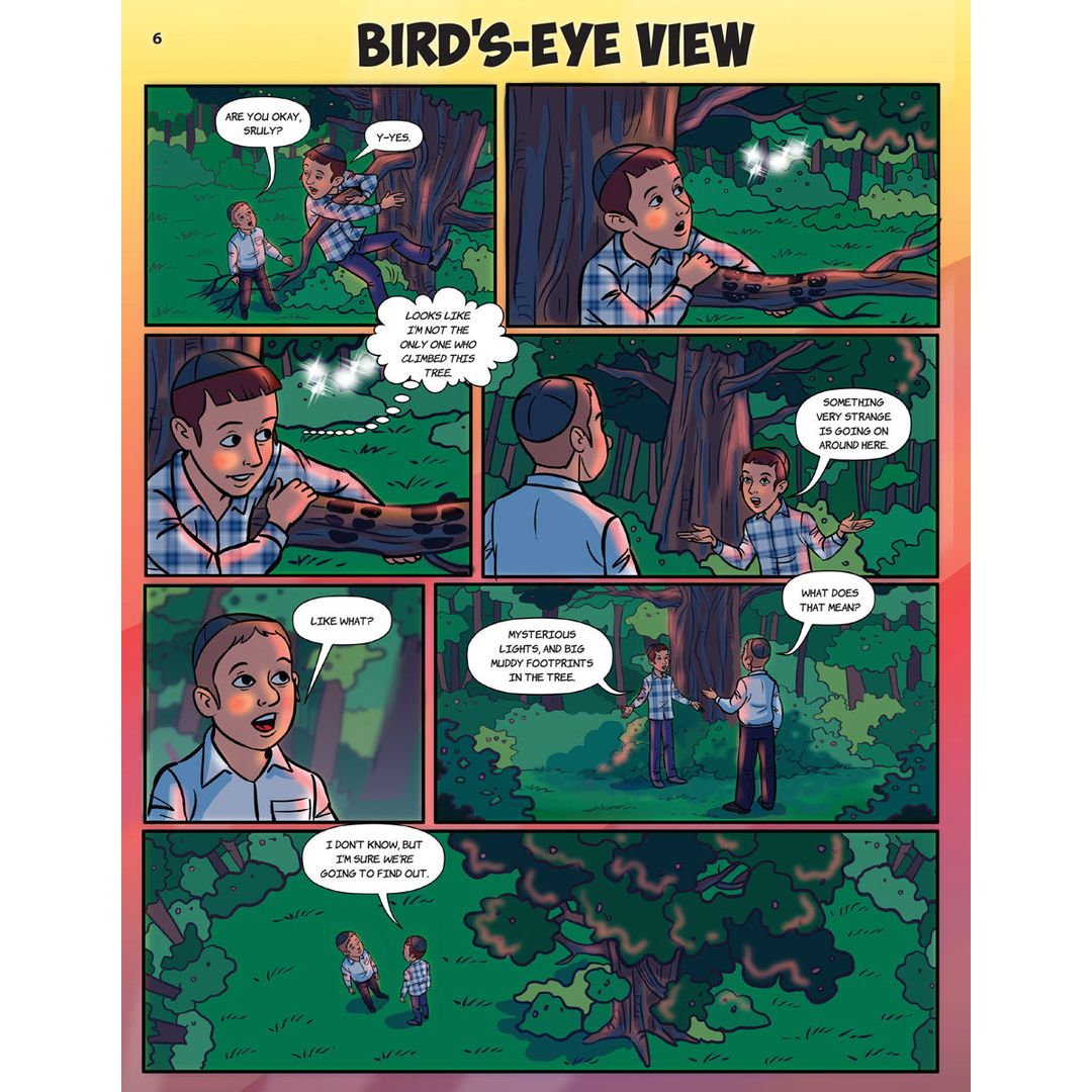 Bird's-Eye View