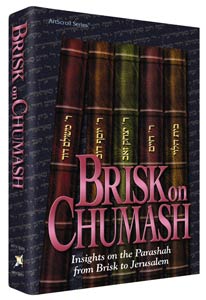 Brisk on Chumash — Chumash hardcover | Judaica Square Lakewood