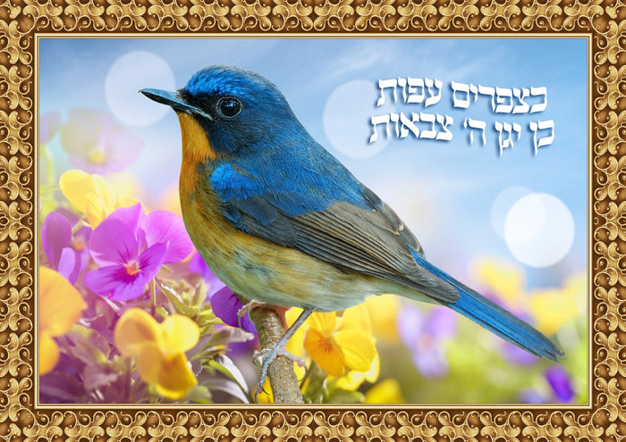 Crystal Crafts Bird — Craft Kit by Chazak Kinder | Judaica Square Lakewood