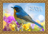 Crystal Crafts Bird — Craft Kit by Chazak Kinder | Judaica Square Lakewood