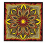 Crystal Crafts Star — Craft Kit by Chazak Kinder | Judaica Square Lakewood