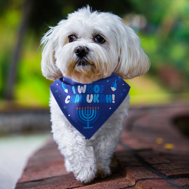 Rite Lite Chewdaica Chanukah Dog Bandana, Polyester, 9 x 12 Inch