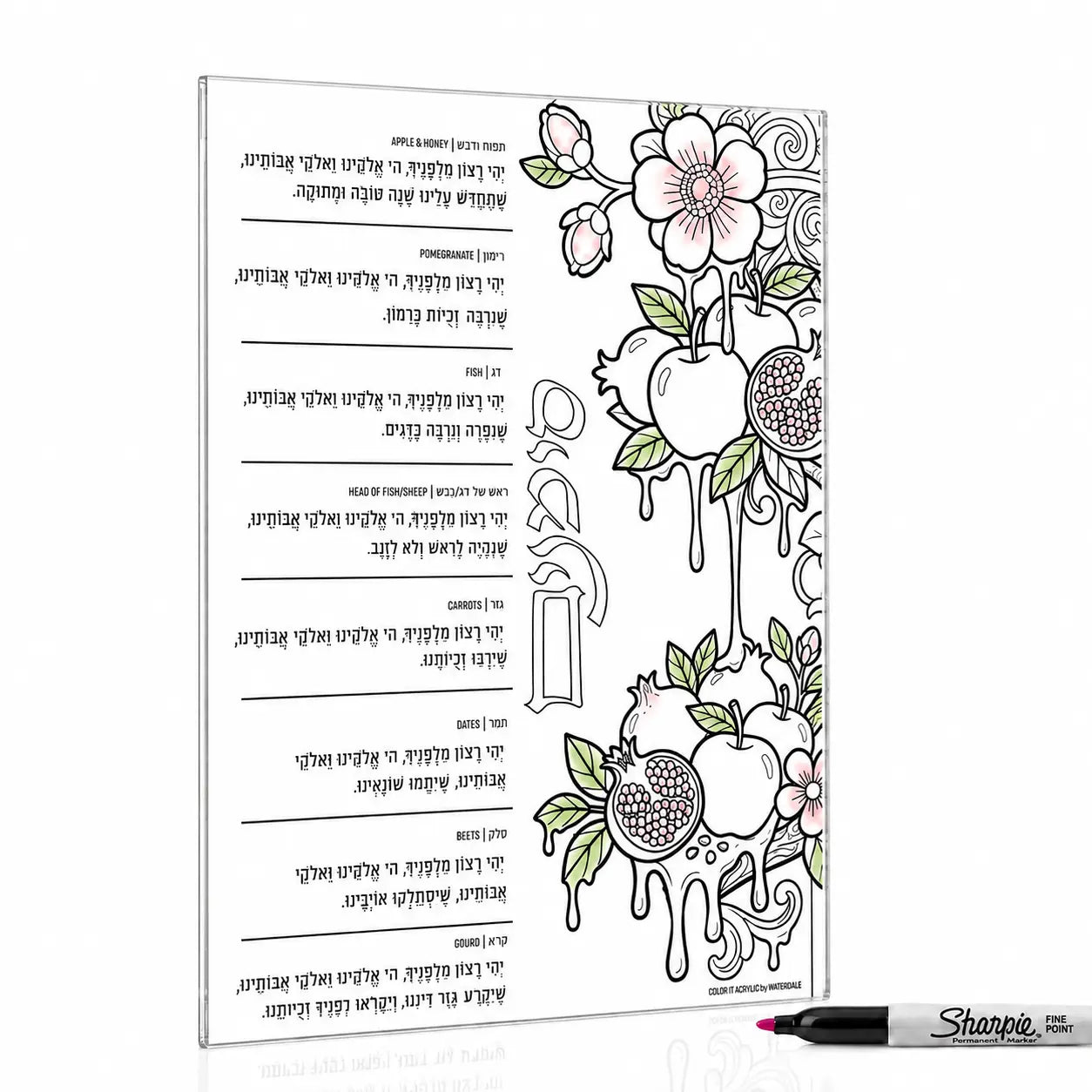 Color-It Acrylic Pomegranate Simanim Card — Lucite Coloring Card | Judaica Square Lakewood