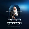 Brachot Veichulim album cover art by Shlomo Simcha, the wedding and sheva brachos collection issued on audio USB
