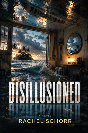 Disillusioned by Rachel Schorr front cover