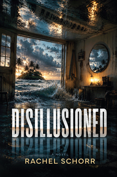 Front cover of Disillusioned: A Novel by Rachel Schorr