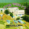 Lag Bo'omer In Miron-ל''ג בעומר במירון
