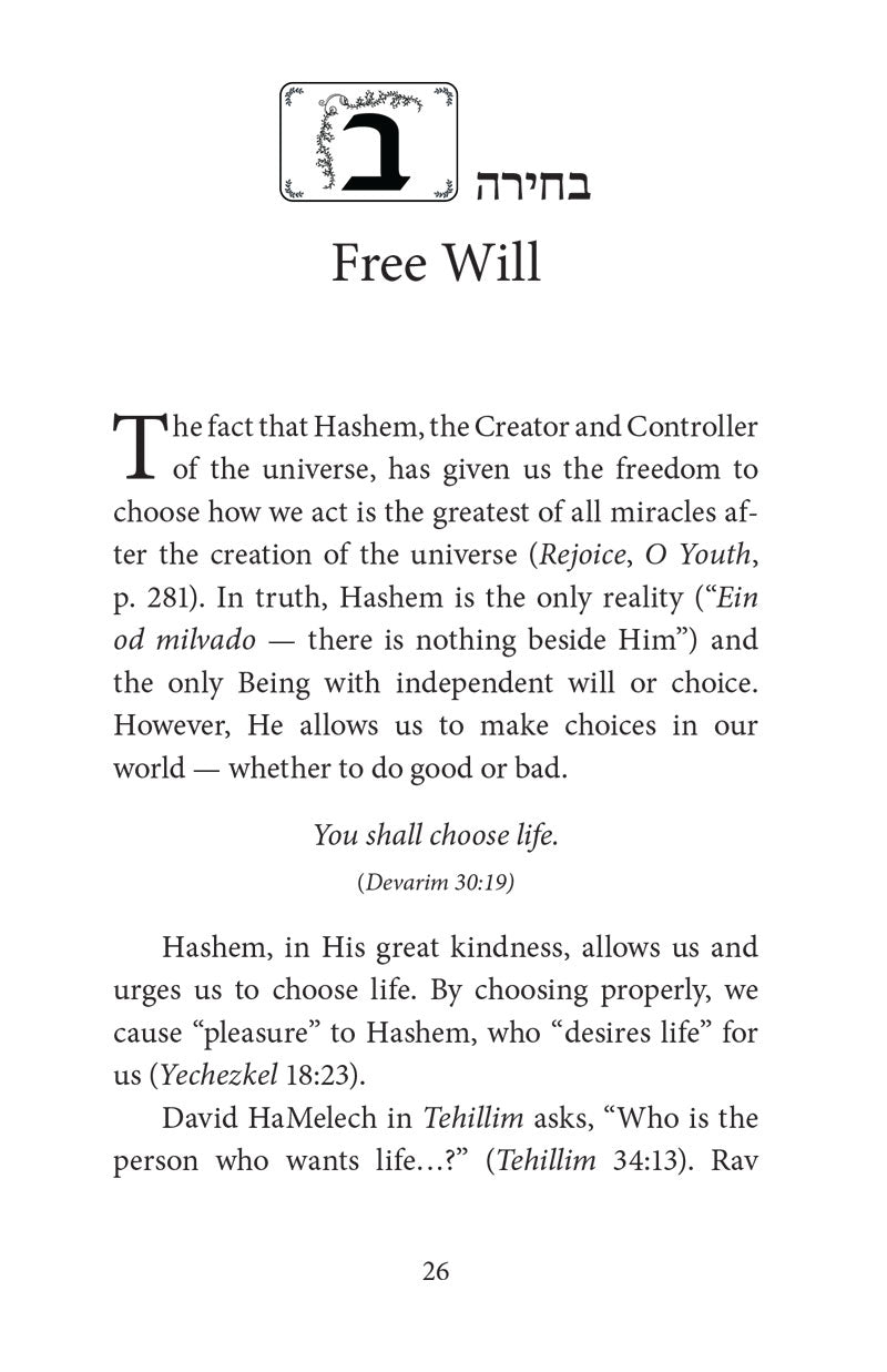 Emulating Our Creator
