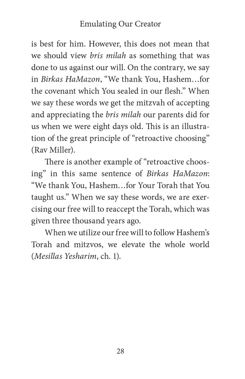 Emulating Our Creator