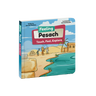 Feeling Pesach Touch Feel Explore English book front cover
