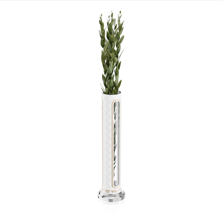 Leatherite Haddasim vase, tall white tube with clear window holding a bunch of haddasim