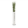 Leatherite Haddasim vase, tall white tube with clear window holding a bunch of haddasim