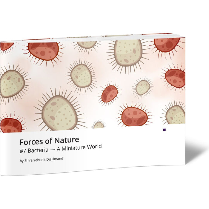 Forces of Nature #7 Bacteria - A Miniature World — Shira Yehudit Djalilmand | Judaica Square Lakewood