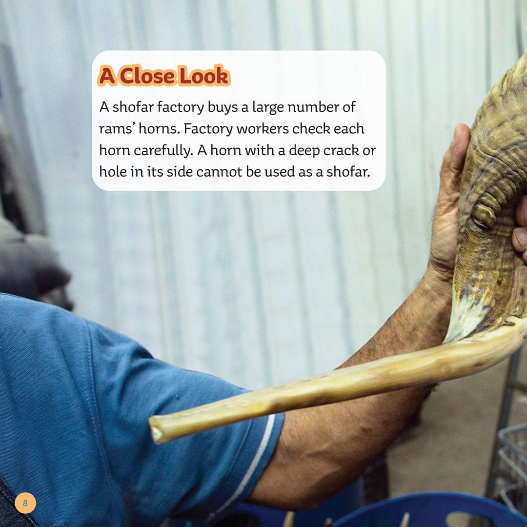 From Ram to Shofar